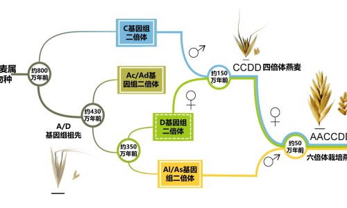 五淋丸的价格是多少-五淋丸效果怎么样,中国五淋丸效果网站